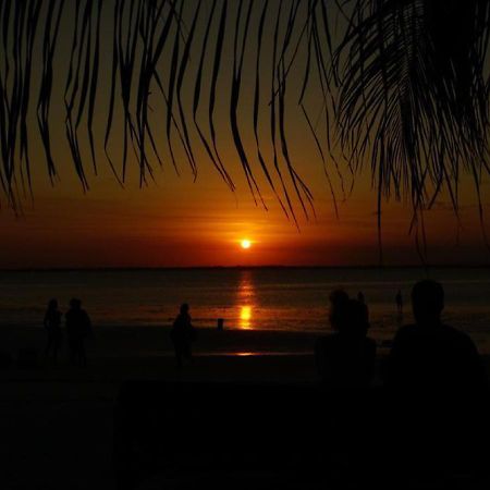 Dreams Of Mapacha Bed & Breakfast Michamvi Exterior foto