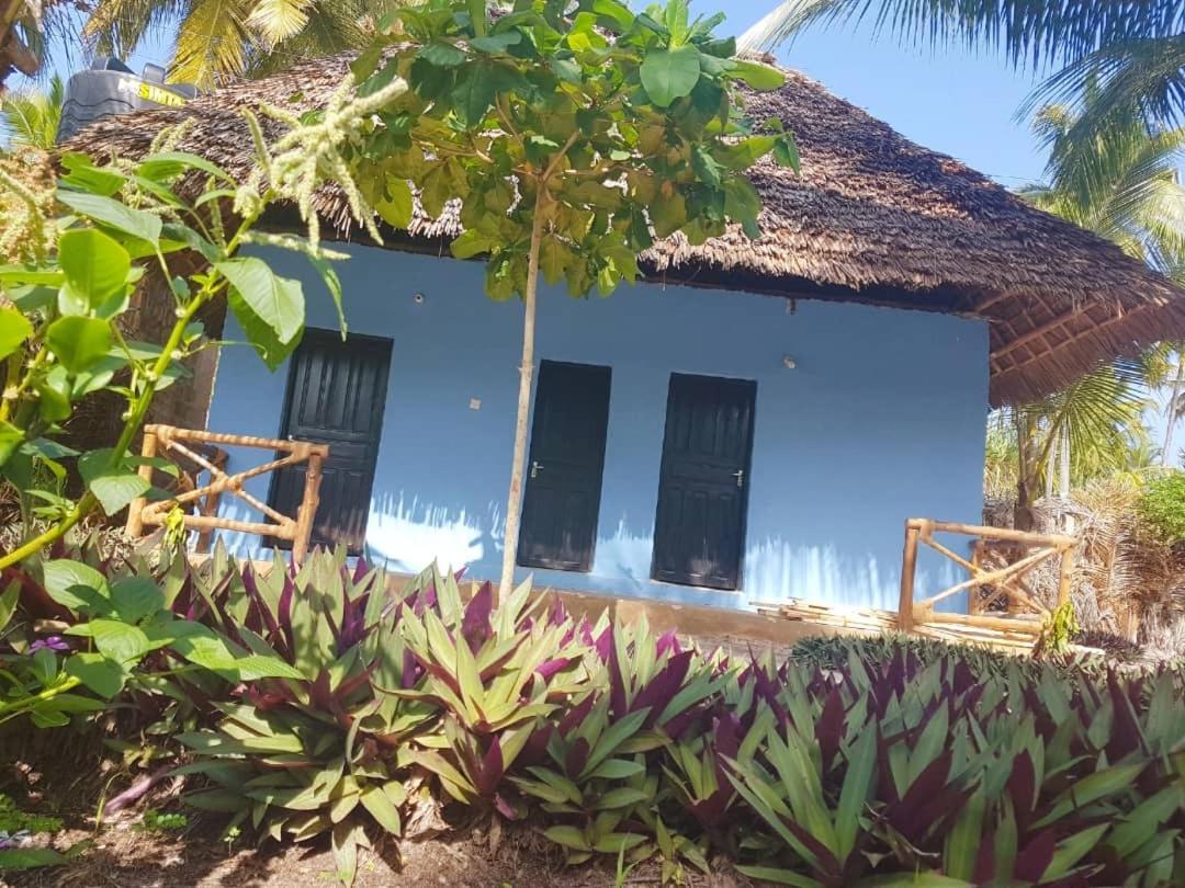Dreams Of Mapacha Bed & Breakfast Michamvi Exterior foto