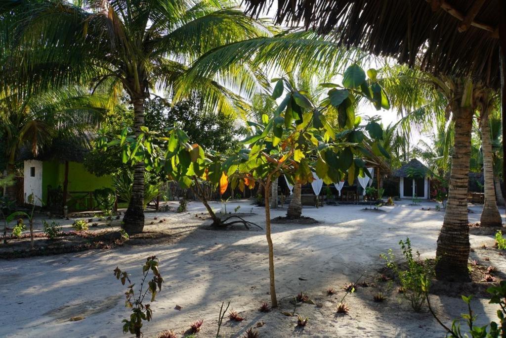 Dreams Of Mapacha Bed & Breakfast Michamvi Exterior foto