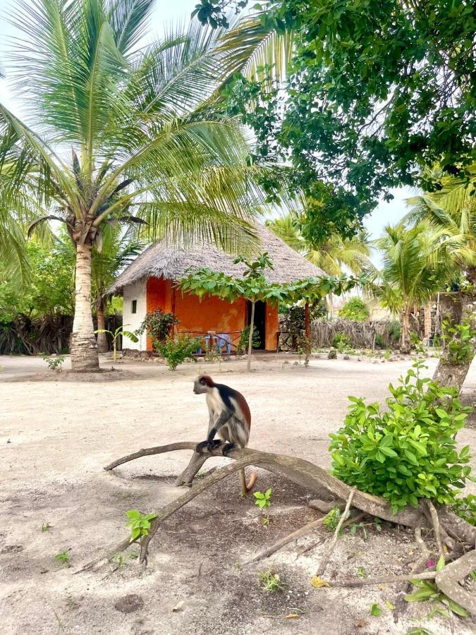 Dreams Of Mapacha Bed & Breakfast Michamvi Exterior foto