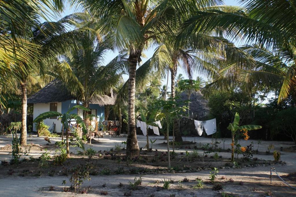Dreams Of Mapacha Bed & Breakfast Michamvi Exterior foto