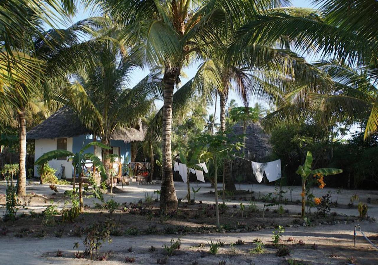 Dreams Of Mapacha Bed & Breakfast Michamvi Exterior foto