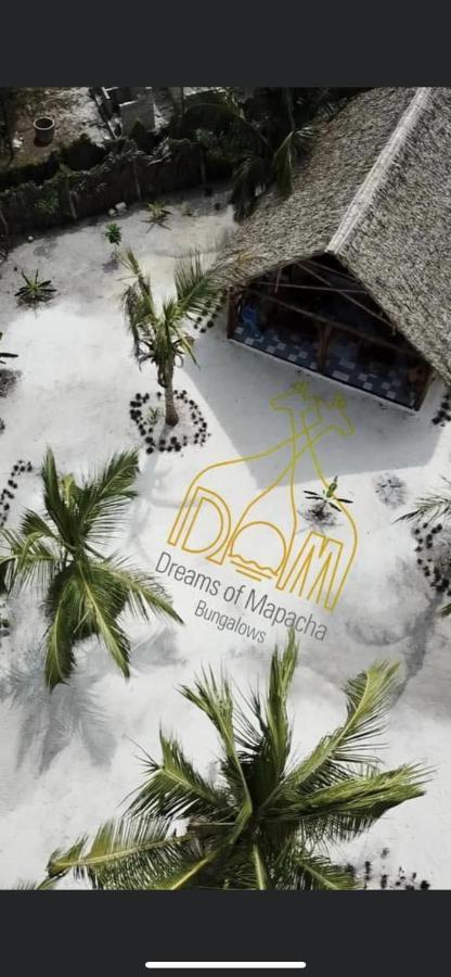 Dreams Of Mapacha Bed & Breakfast Michamvi Exterior foto