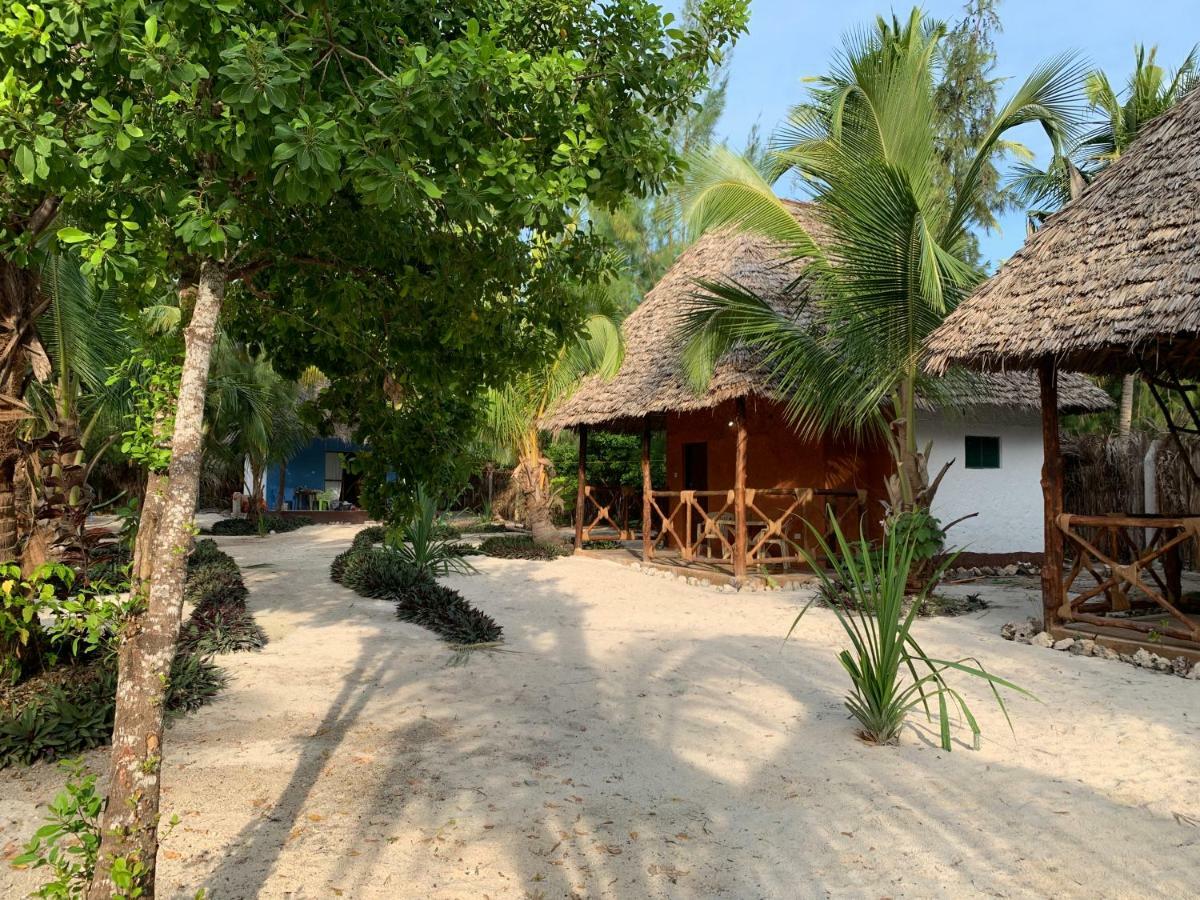 Dreams Of Mapacha Bed & Breakfast Michamvi Exterior foto