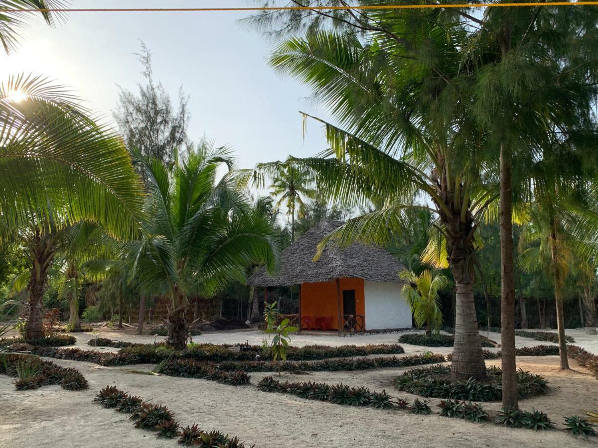 Dreams Of Mapacha Bed & Breakfast Michamvi Exterior foto