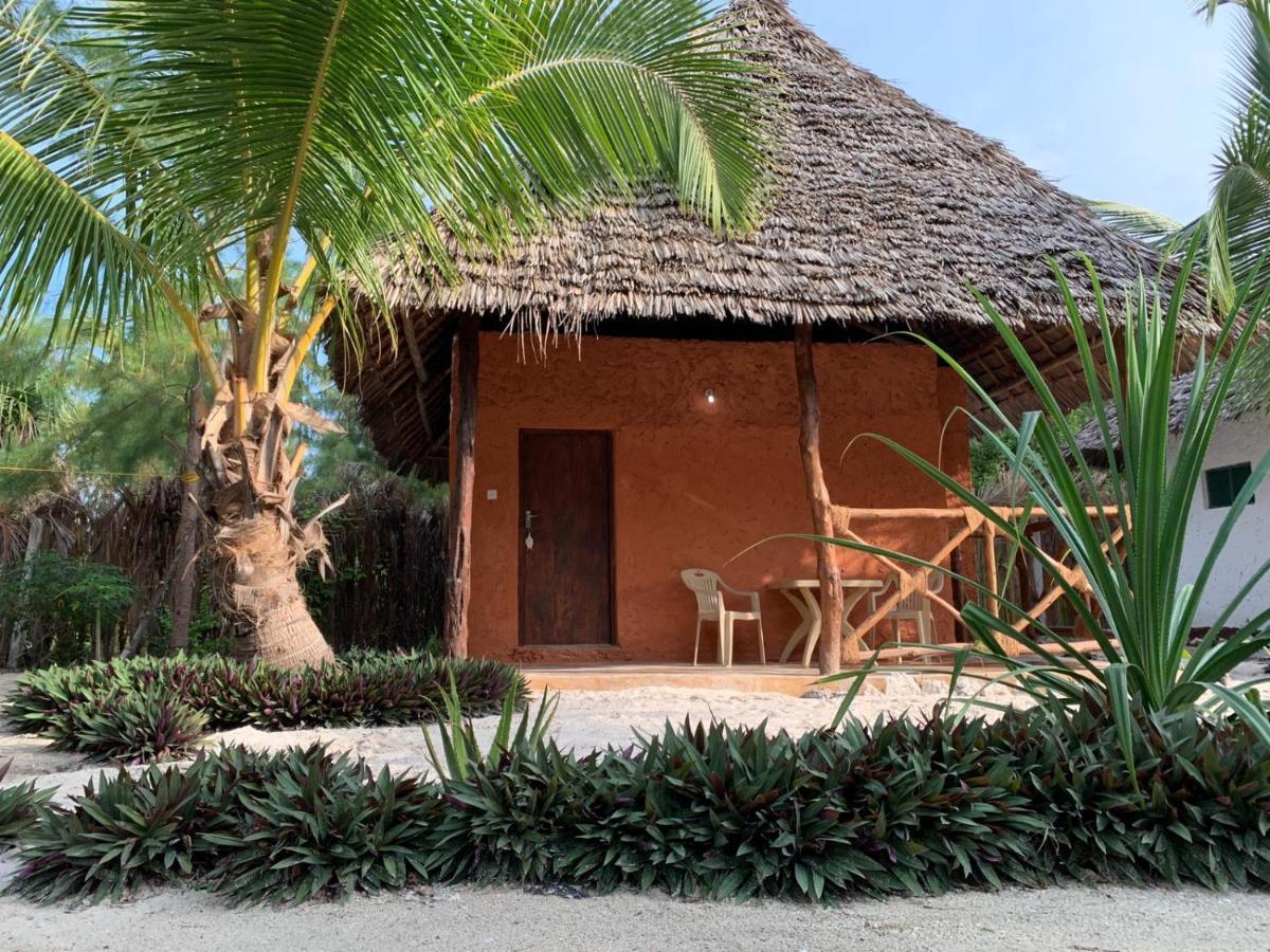 Dreams Of Mapacha Bed & Breakfast Michamvi Exterior foto