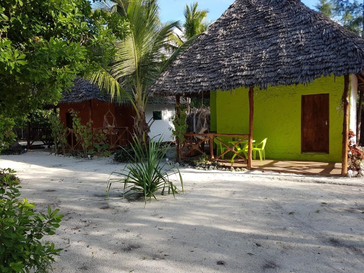 Dreams Of Mapacha Bed & Breakfast Michamvi Exterior foto